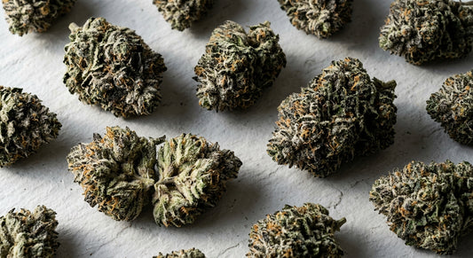 Snowball THCA hemp flower buds flat lay showing dense trichome coverage 2026