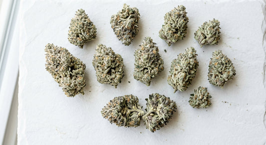 Snowball strain THCA hemp flower buds dense trichome-covered white frost premium quality