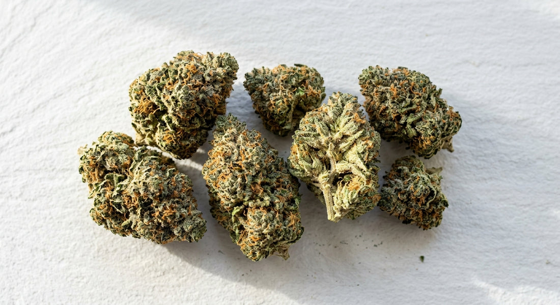 snowballs weed strain dense frosted THCA hemp flower buds flat lay Hurcann 2026