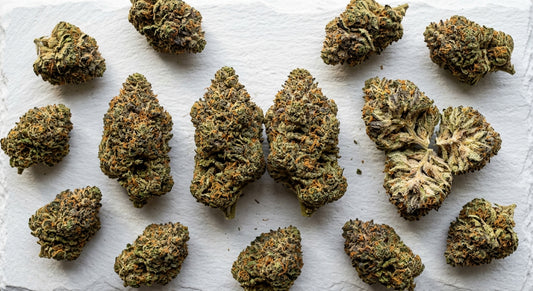 snowballz strain dense THCA hemp flower buds flat lay Hurcann 2026 review