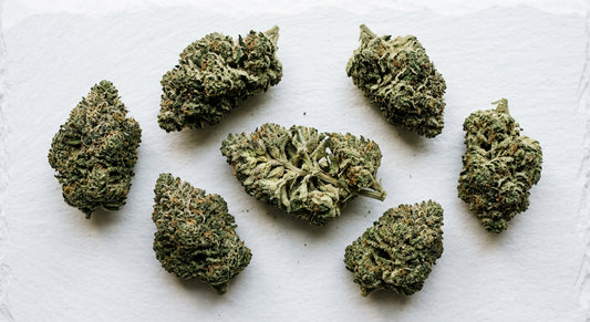 snowcap flower dense frost-covered THCA hemp buds flat lay white surface 2026