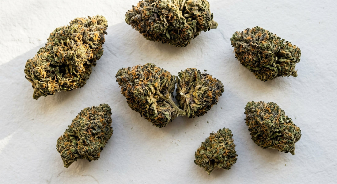 Special Sauce CBD hemp flower buds dense trichome-covered flat lay Hurcann strain guide