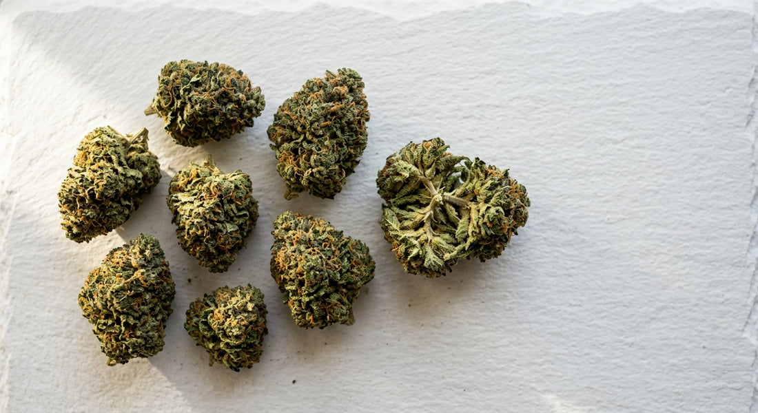 strains with high CBD premium hemp flower buds flat lay Hurcann 2026