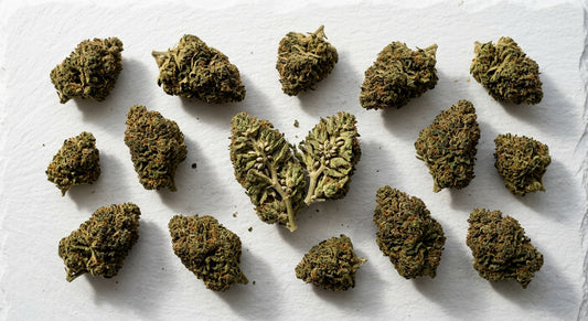 Sunset Lake CBD premium Vermont-grown hemp flower buds flat lay review 2026