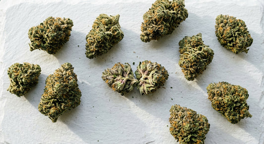 THC and THCA hemp flower buds flat lay showing dense trichome-covered premium flower