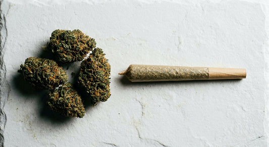 THC Delta-9 vs Delta-8 hemp flower and pre-roll comparison flat lay product shot