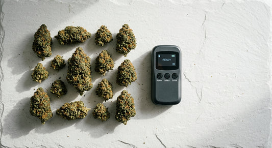 THC flower tester device alongside dense hemp flower buds on white surface 2026