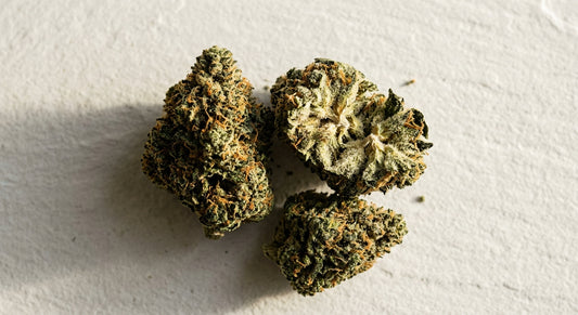 THC flower vs THCA flower comparison dense trichome-covered hemp buds Hurcann