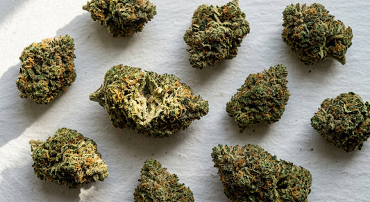 THC vs THCA in flower comparison dense THCA hemp buds on white surface Hurcann