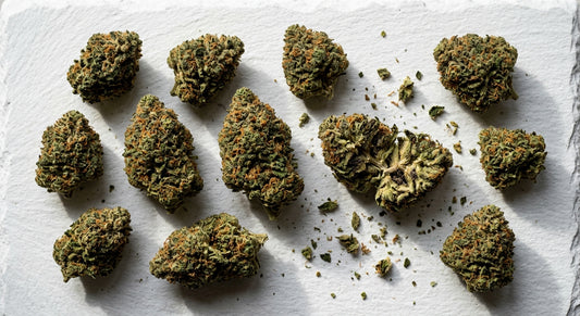 best THCA brands 2026 dense hemp flower buds flat lay on white surface