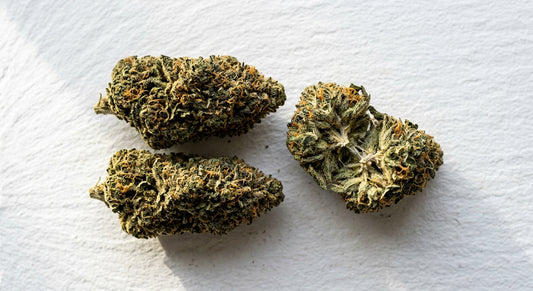 THCA bud vs THC bud comparison dense hemp flower buds on white surface Hurcann