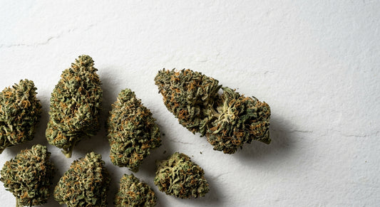 bulk THCA hemp flower buds by the pound wholesale pricing 2026 Hurcann