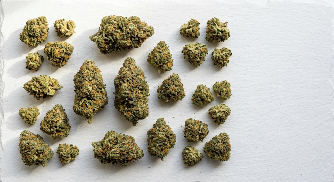 cheap THCA flower buds arranged flat lay showing bulk ounce variety Hurcann