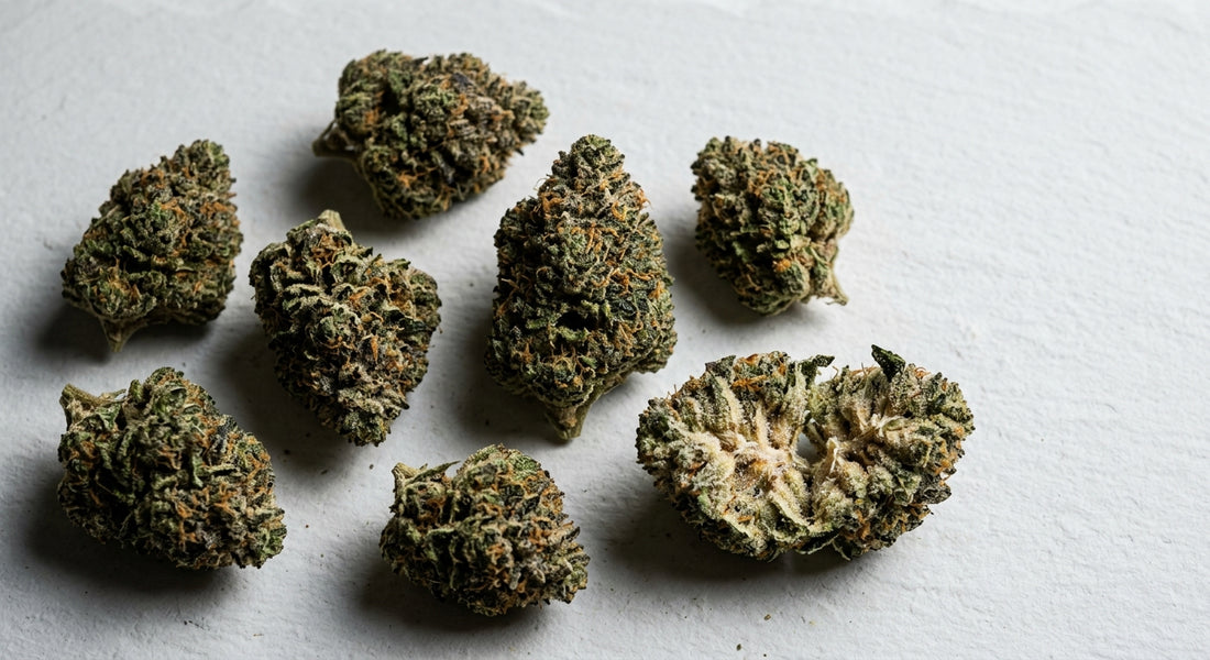 THCA flower wholesale pounds premium dense buds on white surface Hurcann