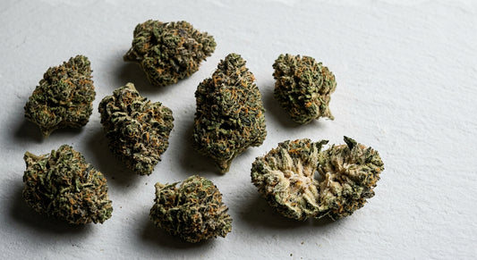 THCA flower wholesale pounds premium dense buds on white surface Hurcann
