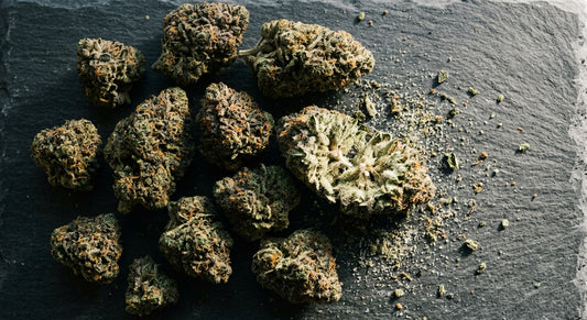 THCA potency vs THC premium hemp flower buds showing trichome density Hurcann