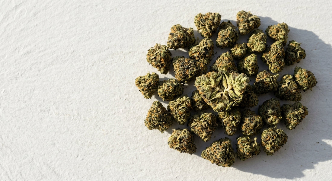 THCA smalls hemp flower buds arranged flat lay showing dense trichome-covered bud quality