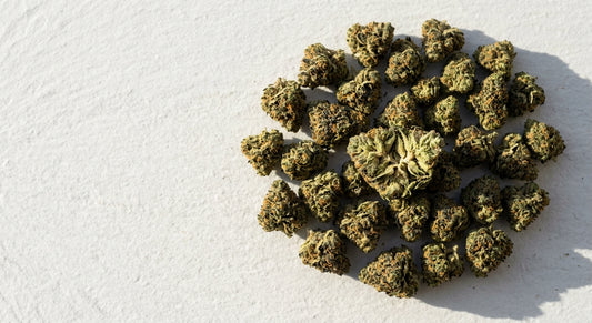 THCA smalls hemp flower buds arranged flat lay showing dense trichome-covered bud quality