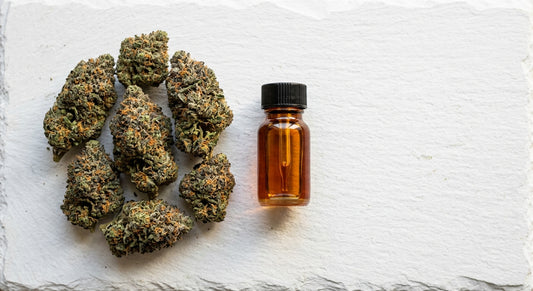 THCA hemp flower buds next to Delta-8 distillate vial comparison flat lay Hurcann