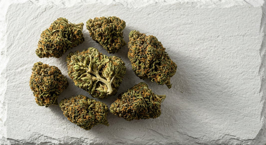 THCA vs delta-9 hemp flower buds comparison flat lay on white surface Hurcann