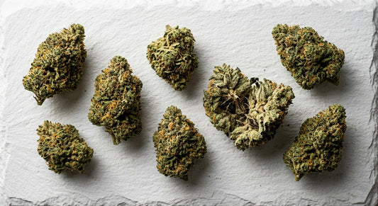 THCA vs THC hemp flower buds comparison flat lay on white surface Hurcann
