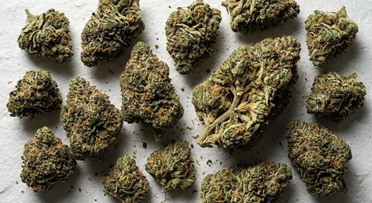THCA hemp flower buds flat lay comparison against delta-9 THC flower