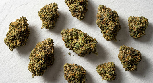 THCA hemp flower buds flat lay comparison dense cured buds white surface Hurcann