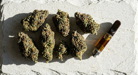 THCA vs THCP comparison hemp flower buds and vape cartridge on white surface Hurcann