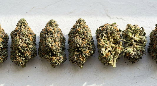 THCA weed vs THC weed comparison dense hemp flower buds flat lay Hurcann