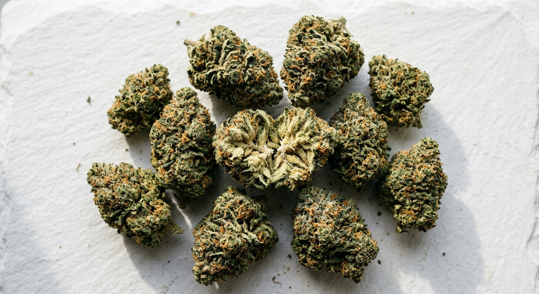 THCA wholesale farm premium hemp flower buds bulk display Hurcann