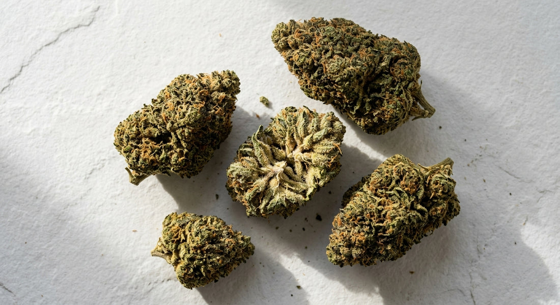 THCP vs THC comparison premium hemp flower buds flat lay Hurcann 2026