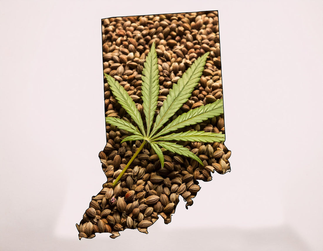 the state of indiana with hemp seeds over it 15116