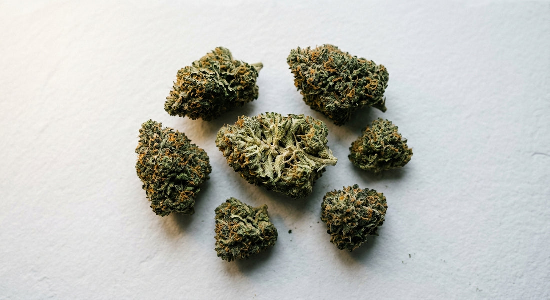 top flores CBD premium cogollos densos cultivados en interior 2026 Hurcann