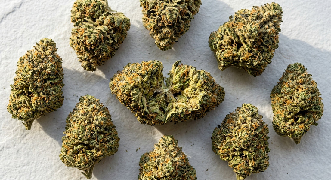TSB THCA hemp flower buds flat lay showing dense trichome-covered flower for lab compliance guide