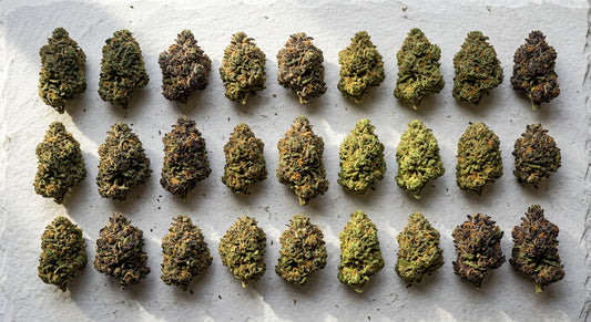 Very high CBD strains hemp flower buds flat lay comparison 2026 Hurcann