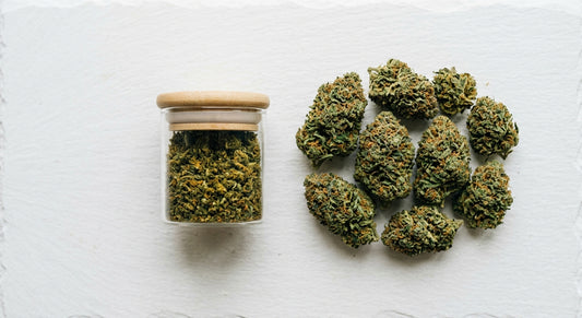 výkup CBD hemp flower biomasa velkoobchod sušené květy kvalita 2026