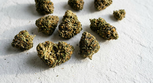 výkup CBD květů prémiový indoor hemp flower buds velkoobchod Hurcann 2026