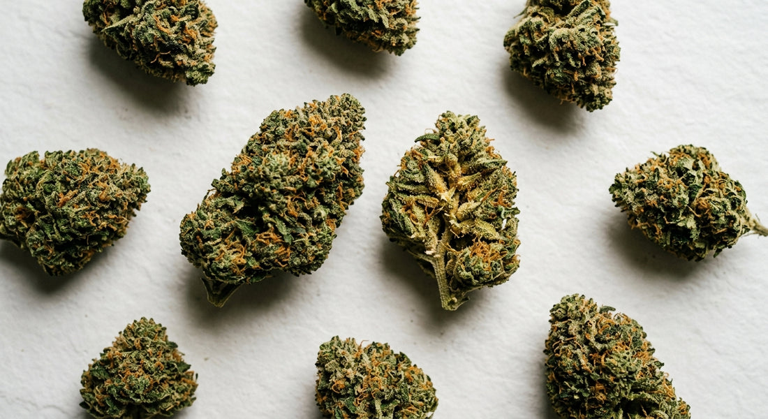 weed strains with high CBD dense hemp flower buds flat lay Hurcann