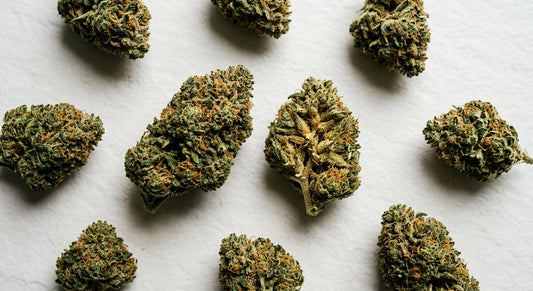 weed strains with high CBD dense hemp flower buds flat lay Hurcann