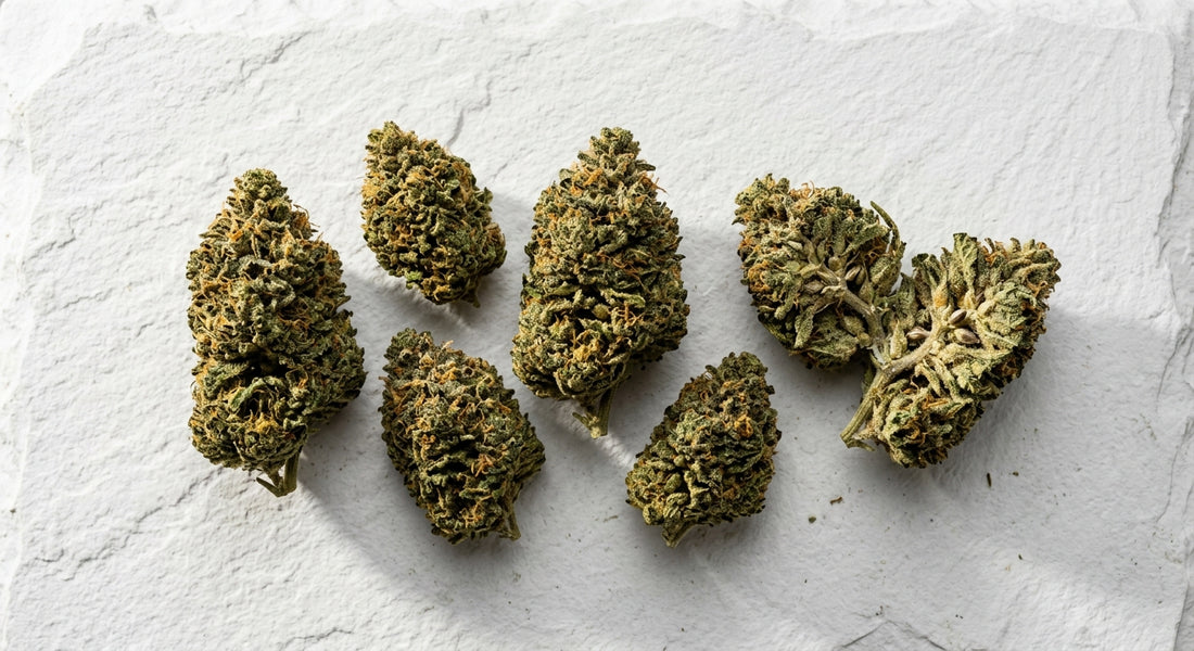 weed with high CBD dense hemp flower buds flat lay white surface 2026
