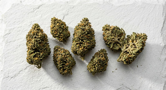 weed with high CBD dense hemp flower buds flat lay white surface 2026