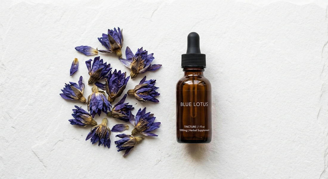 blue lotus extract tincture bottle alongside dried Nymphaea caerulea flowers flat lay