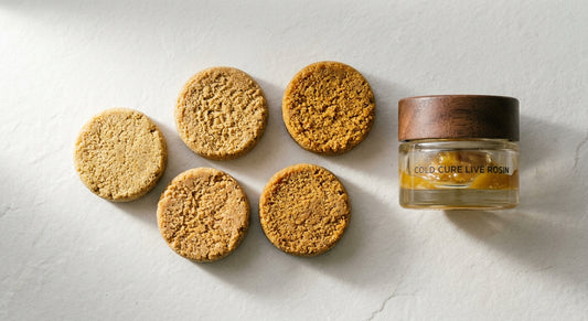 hash animal style THCA bubble hash pucks and rosin jar on white surface Hurcann