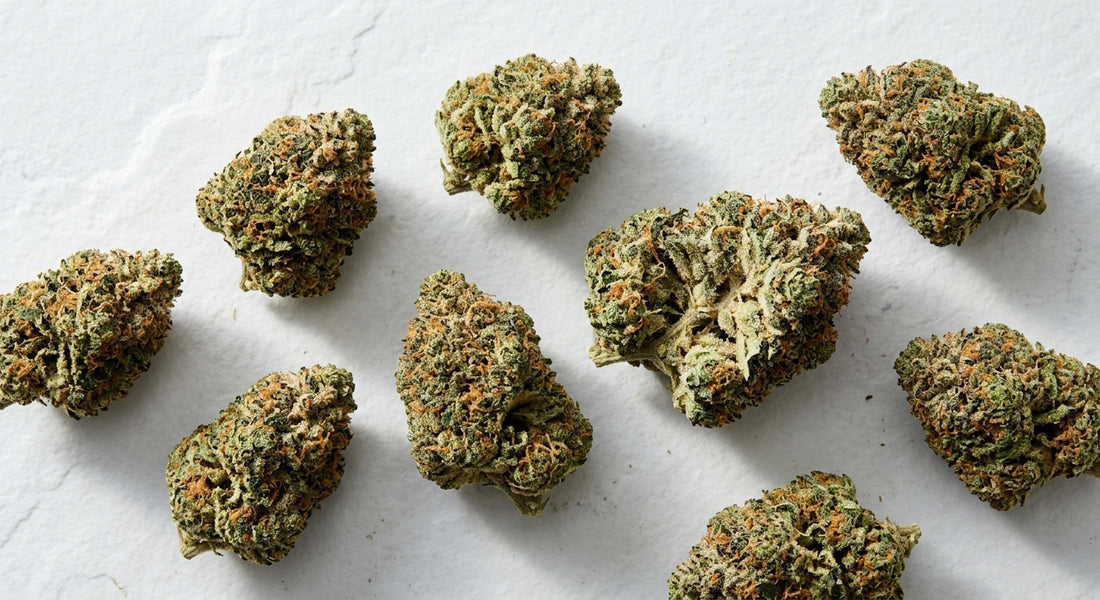 best THCA flower buds 2026 dense indoor grown hemp Hurcann wholesale