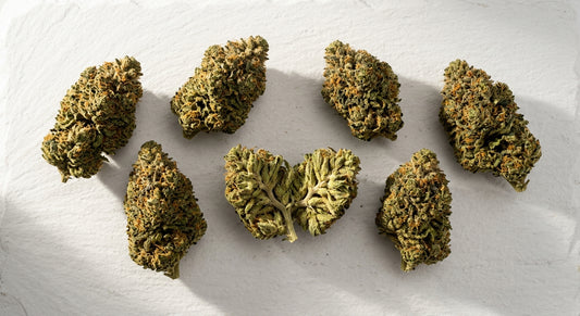wholesale CBD flower pounds bulk hemp buds on white surface Hurcann