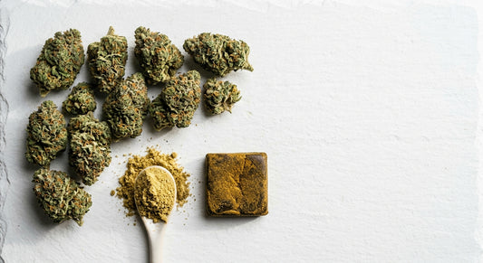 wholesale CBD UK products hemp flower buds kief and hash bulk display Hurcann