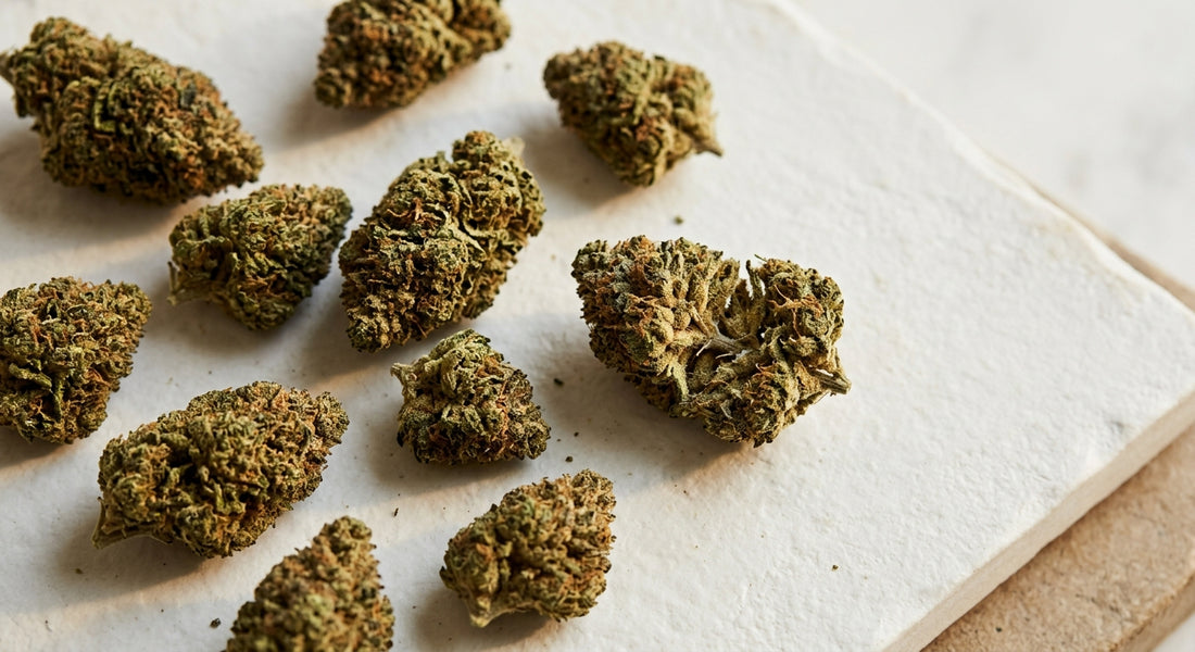 wholesale hemp flowers bulk CBD hemp flower buds arranged flat lay on white surface