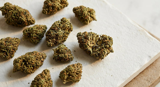 wholesale hemp flowers bulk CBD hemp flower buds arranged flat lay on white surface