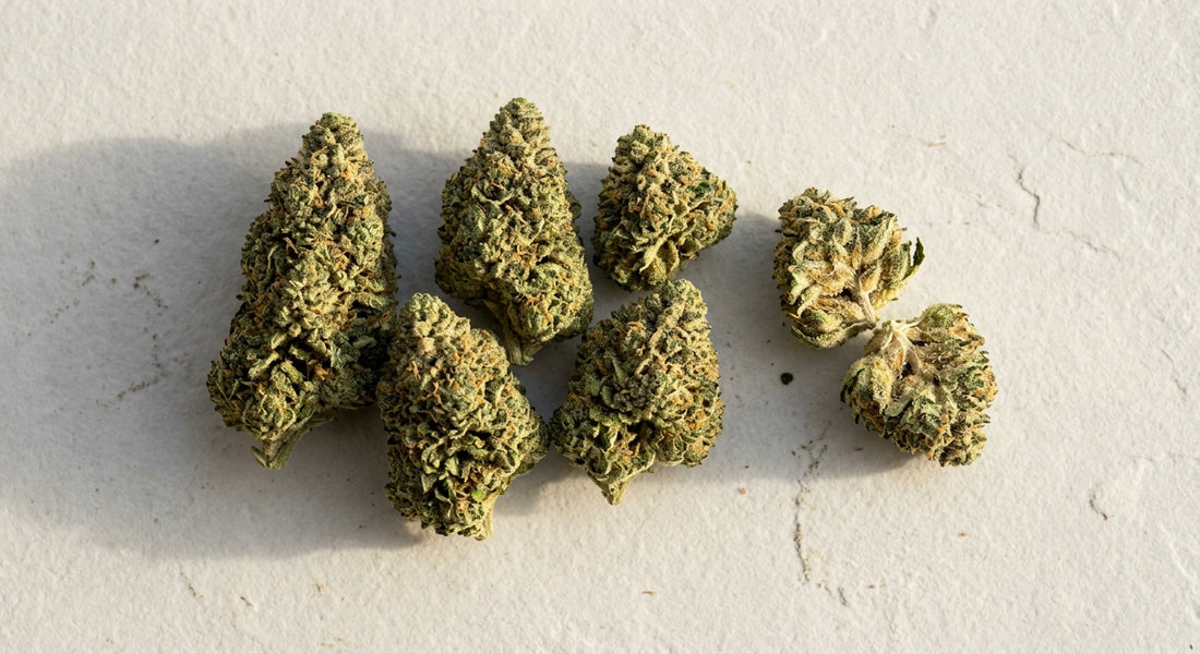 wholesale THCA pounds premium hemp flower buds bulk display Hurcann