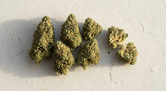 wholesale THCA pounds premium hemp flower buds bulk display Hurcann